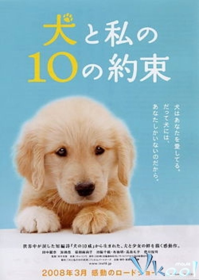 10 Lời Hứa Với Chú Chó Của Tôi (10 Promises To My Dog)