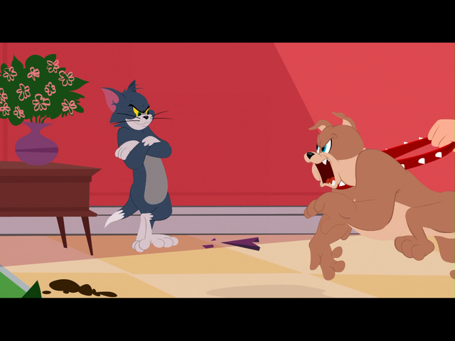 Xem Phim Tom Và Jerry - The Tom And Jerry Show - Ahaphim.com - Ảnh 2