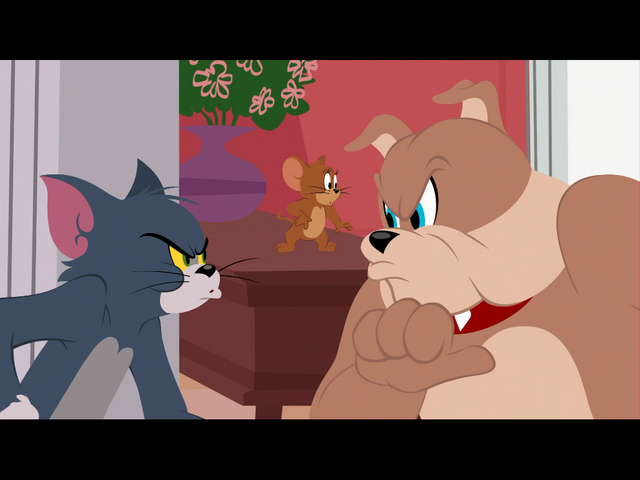 Xem Phim Tom Và Jerry - The Tom And Jerry Show - Ahaphim.com - Ảnh 3