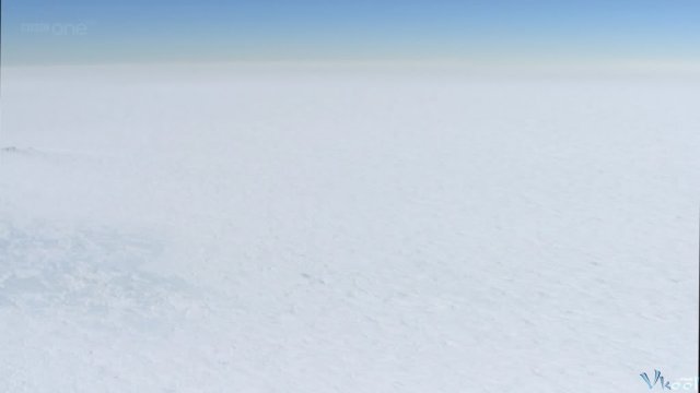 Xem Phim Hành Tinh Băng Giá - Bbc Frozen Planet - Ahaphim.com - Ảnh 9