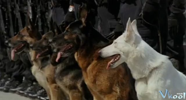 Xem Phim Chú Chó Đặc Nhiệm - Dog X Police: The K-9 Force - Ahaphim.com - Ảnh 2
