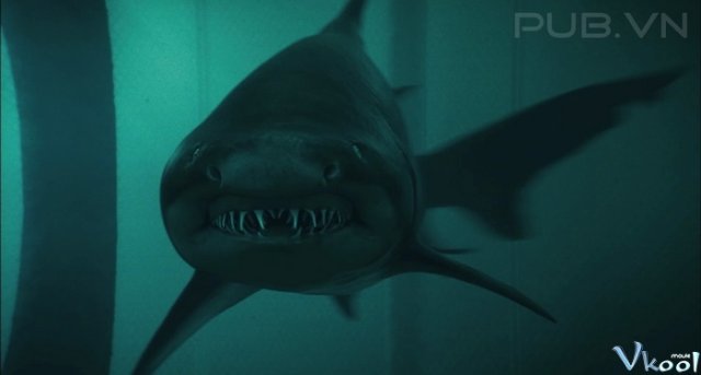 Xem Phim Đầm Cá Mập - Shark Night - Ahaphim.com - Ảnh 5