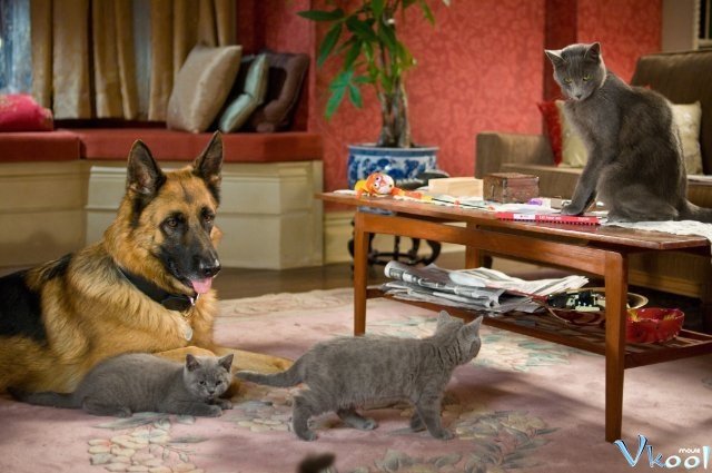 Xem Phim Cuộc Chiến Chó Mèo 2 - Cats & Dogs: The Revenge Of Kitty Galore - Ahaphim.com - Ảnh 4