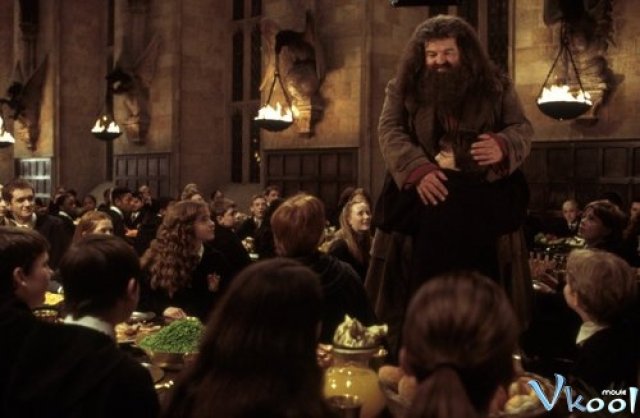 Harry Potter Và Phòng Chứa Bí Mật (Harry Potter And The Chamber Of Secrets 2002)