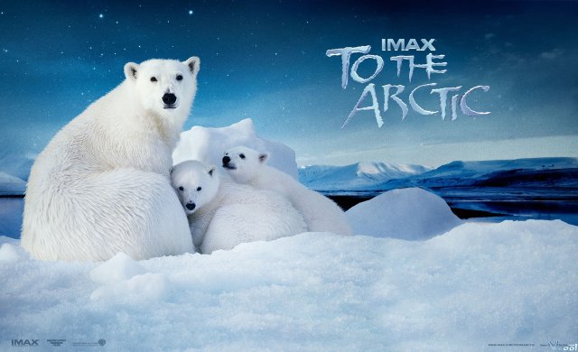 Gấu Bắc Cực 2 (To The Arctic 3d 2012)