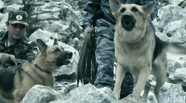 Xem Phim Kremen - Кремень - Ahaphim.com - Ảnh 4