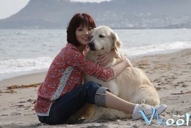 Xem Phim 10 Lời Hứa Với Chú Chó Của Tôi - 10 Promises To My Dog - Ahaphim.com - Ảnh 2