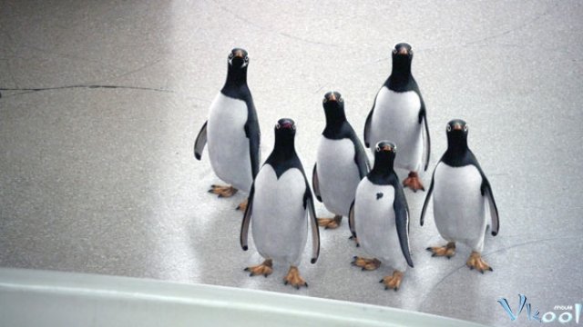 Xem Phim Bầy Cánh Cụt Nhà Popper - Mr. Popper's Penguins - Ahaphim.com - Ảnh 2