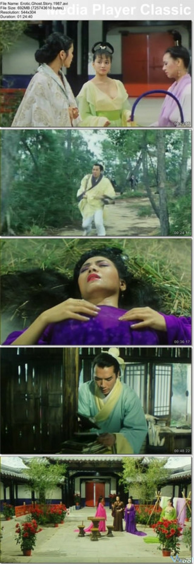 Erotic Ghost Story (Erotic Ghost Story 1990)