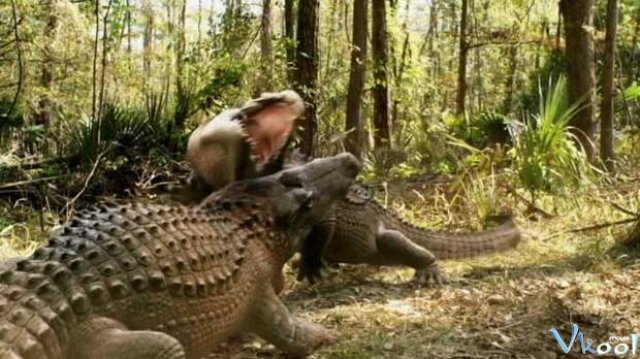 Xem Phim Đầm Cá Sấu - Ragin Cajun Redneck Gators - Ahaphim.com - Ảnh 2