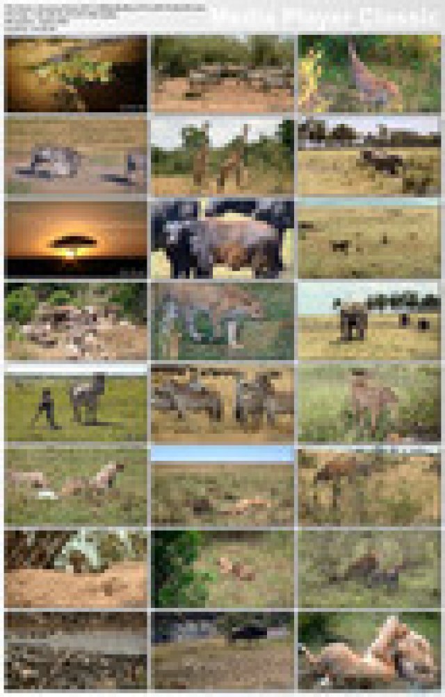 Châu Phi Huyền Diệu (Amazing Africa 2013)