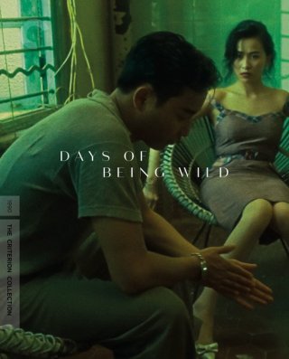 Những Ngày Hoang Dại (Days Of Being Wild 1990)