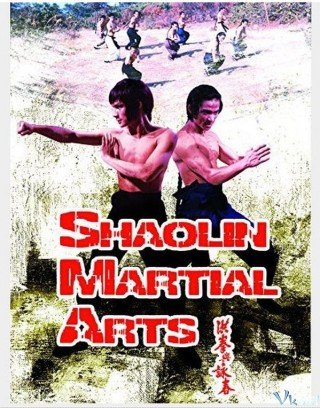 Thiếu Lâm Hồng Gia Quyền (Shaolin Martial Arts 1974)