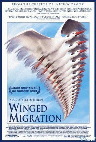 Những Cánh Chim Di Cư (Winged Migration 2001)
