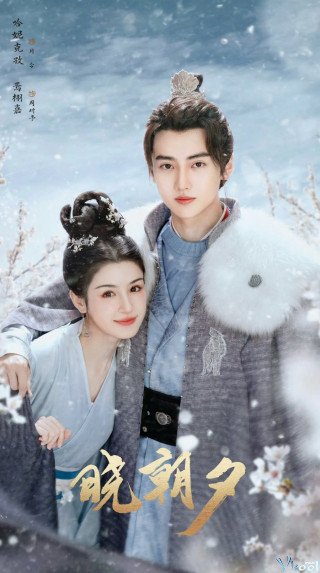 Hiểu Triều Dịch (Jade's Fateful Love 2024)