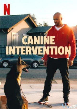 Cali K9: Trường Huấn Khuyển (Canine Intervention)