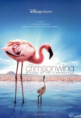 Bí Mật Của Chim Hồng Hạc (The Crimson Wing: Mystery Of The Flamingos)