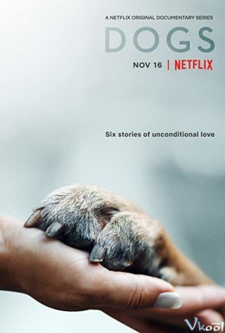 Những Chú Chó 2 (Dogs Season 2)