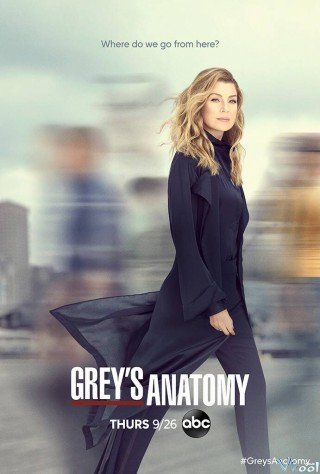 Ca Phẫu Thuật Của Grey 16 (Grey's Anatomy Season 16 2019)
