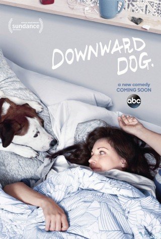 Góc Nhìn Của Chó 1 (Downward Dog Season 1)