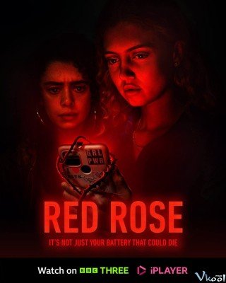 Hoa Hồng Đỏ (Red Rose 2022)