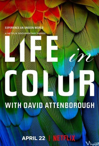 David Attenborough: Sự Sống Đầy Màu Sắc (Life In Colour With David Attenborough 2021)