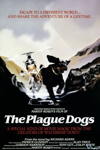 Những Chú Chó Mang Bệnh Dịch Hạch (The Plague Dogs)