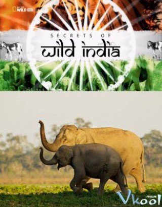Bí Ẩn Thế Giới Hoang Dã Ấn Độ: Vương Quốc Loài Voi (Secrets Of Wild India: Elephant Kingdom 2012)