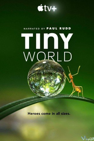 Thế Giới Tí Hon Phần 1 (Tiny World Season 1 2020)