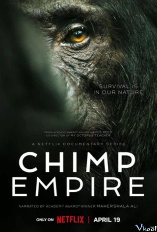 Đế Chế Tinh Tinh (Chimp Empire)