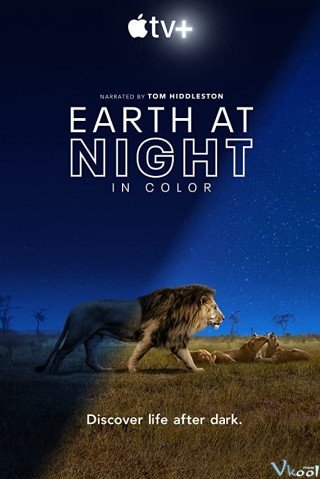 Sắc Màu Trái Đất Về Đêm (Earth At Night In Color 2020)