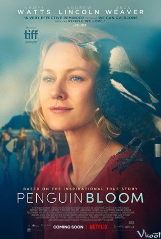 Cánh Cụt Nhà Bloom (Penguin Bloom 2020)