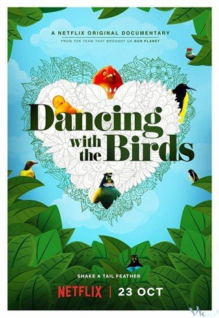 Vũ Điệu Của Loài Chim (Dancing With The Birds)