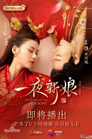 Nhất Dạ Tân Nương (The Romance Of Hua Rong)