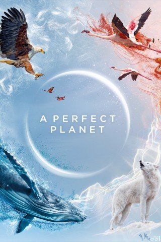 Hành Tinh Tuyệt Vời (A Perfect Planet 2021)