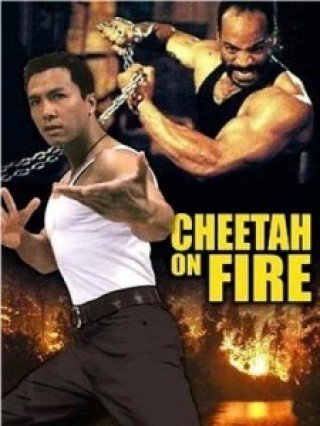Liệp Báo Hành Động (Cheetah On Fire)