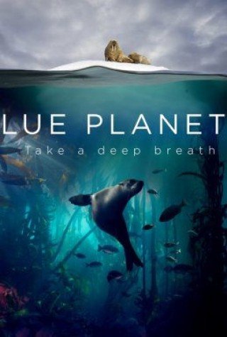 Đại Dương Sâu Thẳm 2 (Blue Planet Ii Season 1)