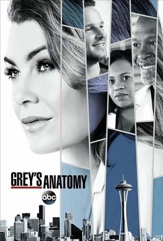 Ca Phẫu Thuật Của Grey 14 (Grey's Anatomy Season 14)