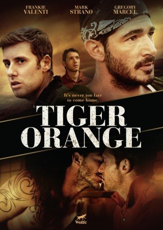 Tiger Orange (Tiger Orange)