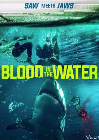 Cá Mập Dưới Nước (Blood In The Water 2022)