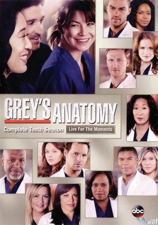 Ca Phẫu Thuật Của Grey 10 (Grey's Anatomy Season 10)