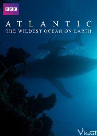 Đại Tây Dương: Đại Dương Hoang Dã Nhất (Atlantic: The Wildest Ocean On Earth 2015)