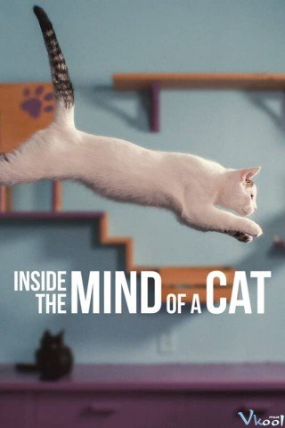 Những Chú Mèo Nghĩ Gì (Inside The Mind Of A Cat 2022)