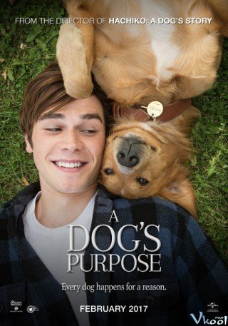 Mục Đích Sống Của Một Chú Chó (A Dog’s Purpose 2017)