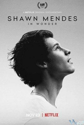 Theo Chân Shawn Mendes (Shawn Mendes: In Wonder 2020)