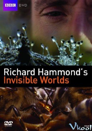Thế Giới Vô Hình (Richard Hammond's Invisible Worlds 2010)