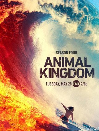 Vương Quốc Động Vật 4 (Animal Kingdom Season 4 2019)