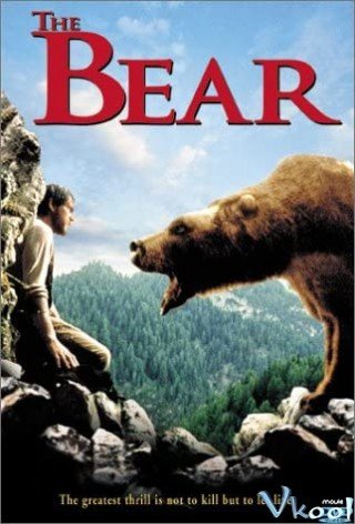 Con Gấu (The Bear 1988)
