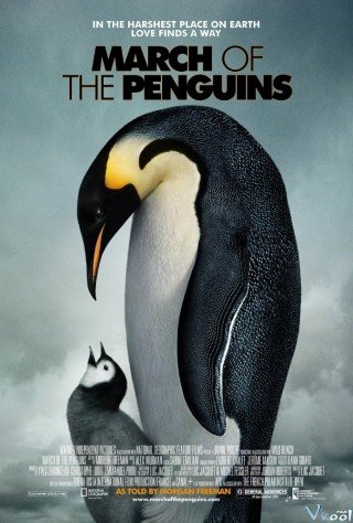 Hành Khúc Chim Cánh Cụt (March Of The Penguins)