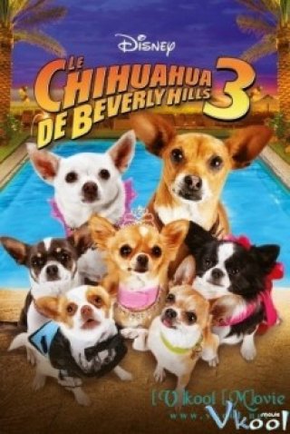 Những Chú Chó Chihuahua Ở Đồi Beverly 3 (Beverly Hills Chihuahua 3: Viva La Fiesta! 2012)
